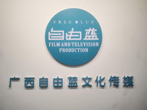 央媒品牌天下播報(bào)全國(guó)亞健康標(biāo)準(zhǔn)化建設(shè)新聞發(fā)布會(huì)在廣西南寧召開(kāi)