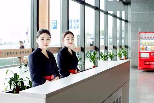 自助值機營銷員 駐點營銷經(jīng)理崗位等你來 真檸